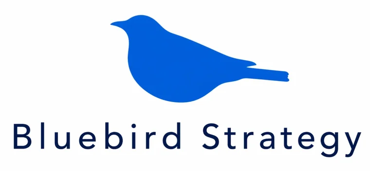 Bluebird Strategy